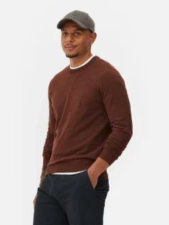 Outlet Feinstrickpullover Mit Rundhalsausschnitt Herren Pullover Und Cardigans