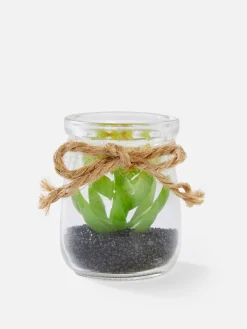 Clearance Kleine Glasvase Mit Sukkulentenimitat Kunstpflanzen Und -Blumen