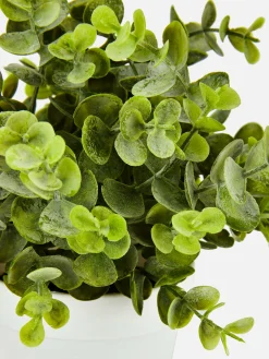 Clearance Kleine Künstliche Eukalyptuspflanze Kunstpflanzen Und -Blumen