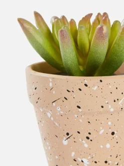 Kleine Künstliche Sukkulente Kunstpflanzen Und -Blumen