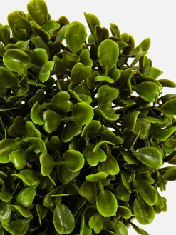 Künstliche Sukkulente Im Topf Kunstpflanzen Und -Blumen