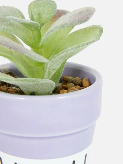 Künstliche Sukkulente In Buntem Topf Kunstpflanzen Und -Blumen